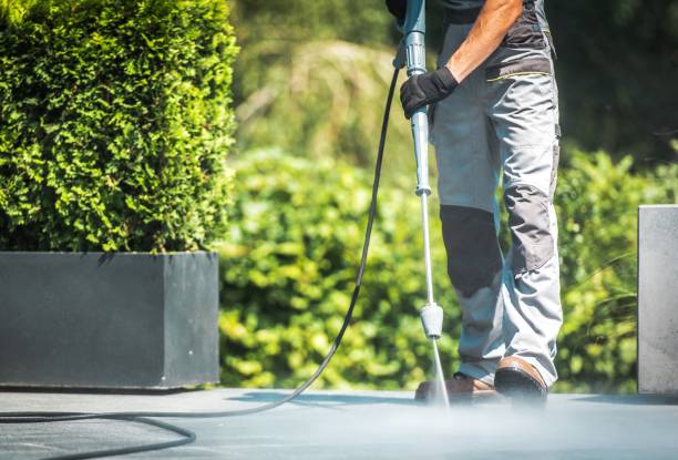 Best Solar Panel Cleaning  in Kaumakani, HI